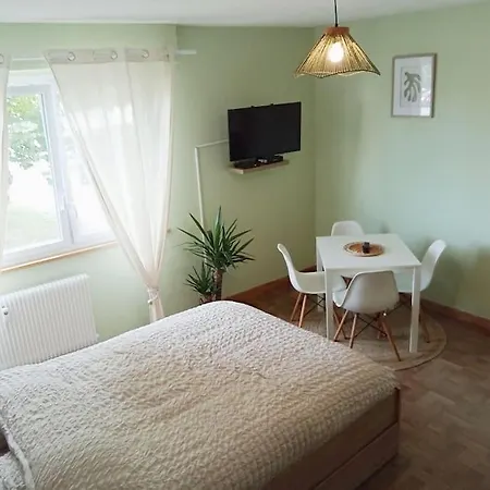 Appartement Studio Chez Seb & Martin Colmar Exterior photo